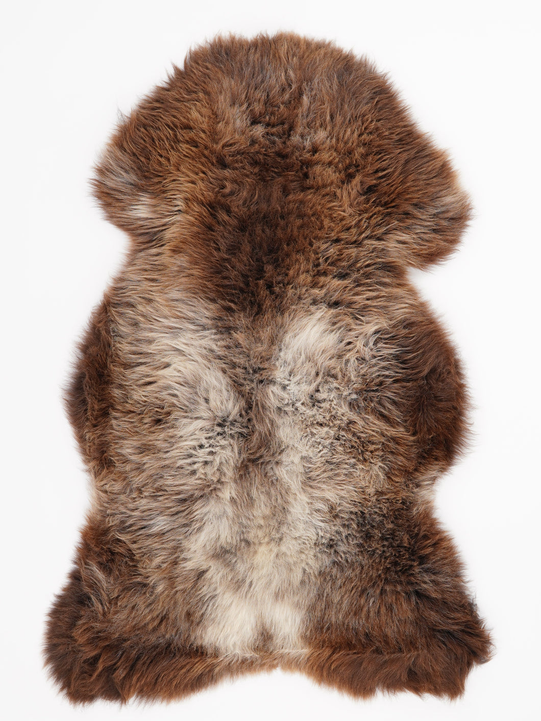 Įvairiaspalvis avikailis L