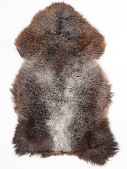 Įvairiaspalvis avikailis XL