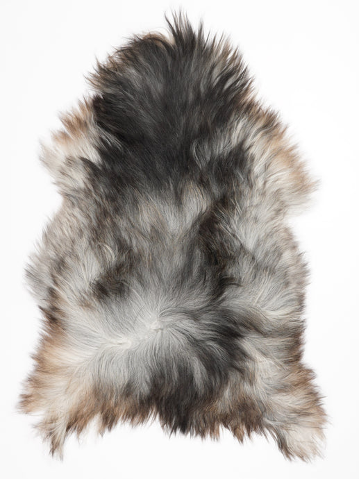 Pilkas islandiškas avikailis XXL