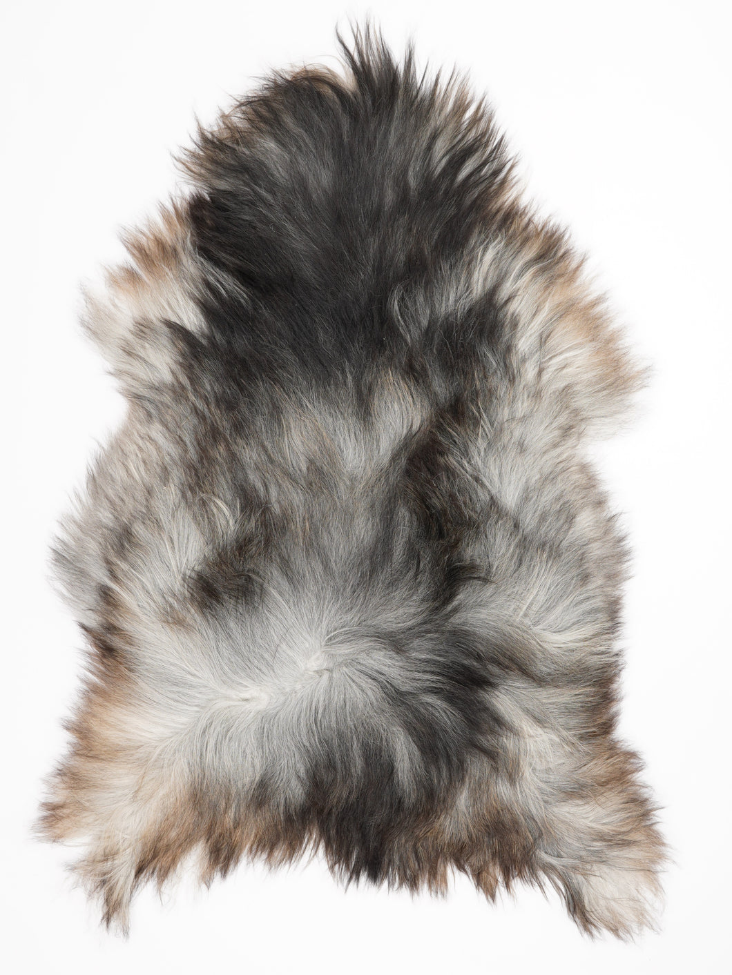 Pilkas islandiškas avikailis XXL