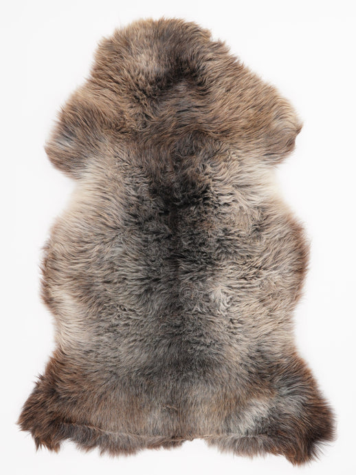 Įvairiaspalvis avikailis XL