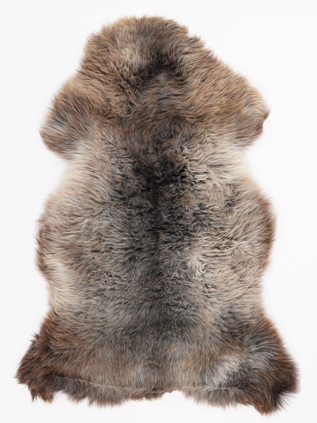 Įvairiaspalvis avikailis XL