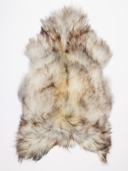 Islandiškas avikailis XXL