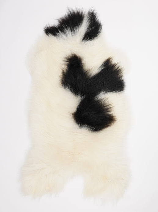 Islandiškas avikailis XL