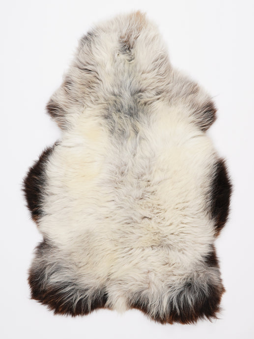 Įvairiaspalvis avikailis L