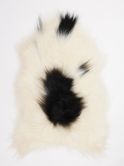 Islandiškas avikailis XL