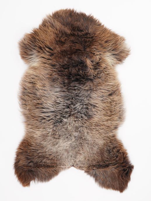 Įvairiaspalvis avikailis L