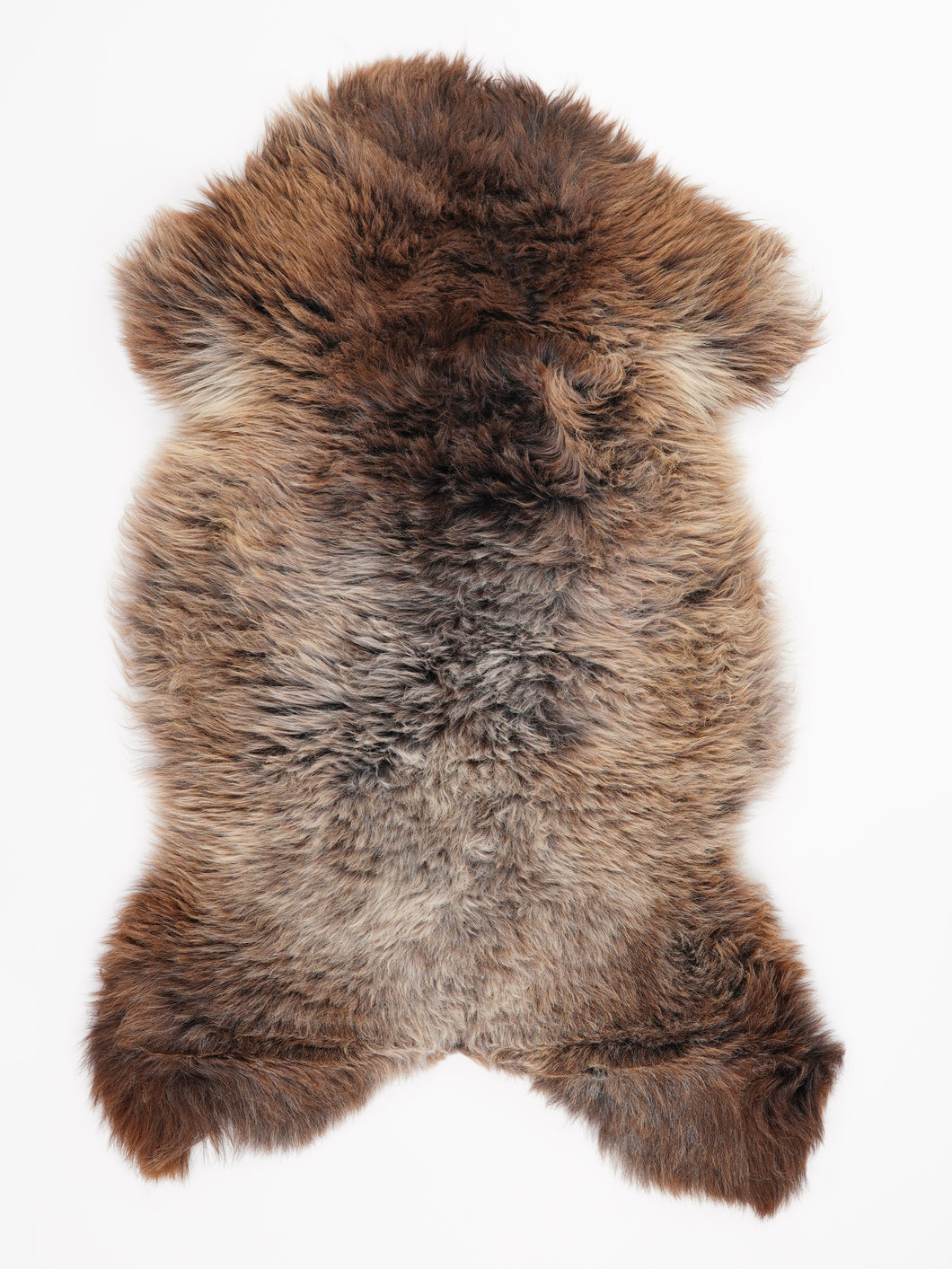 Įvairiaspalvis avikailis L