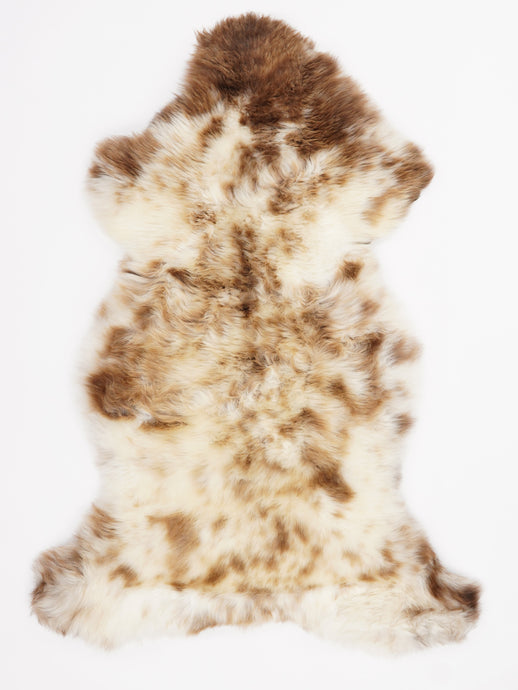 Įvairiaspalvis avikailis L