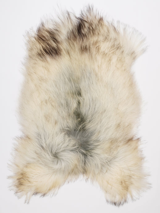 Islandiškas avikailis XL