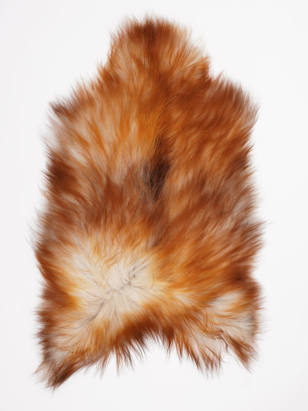 Islandiškas avikailis XL