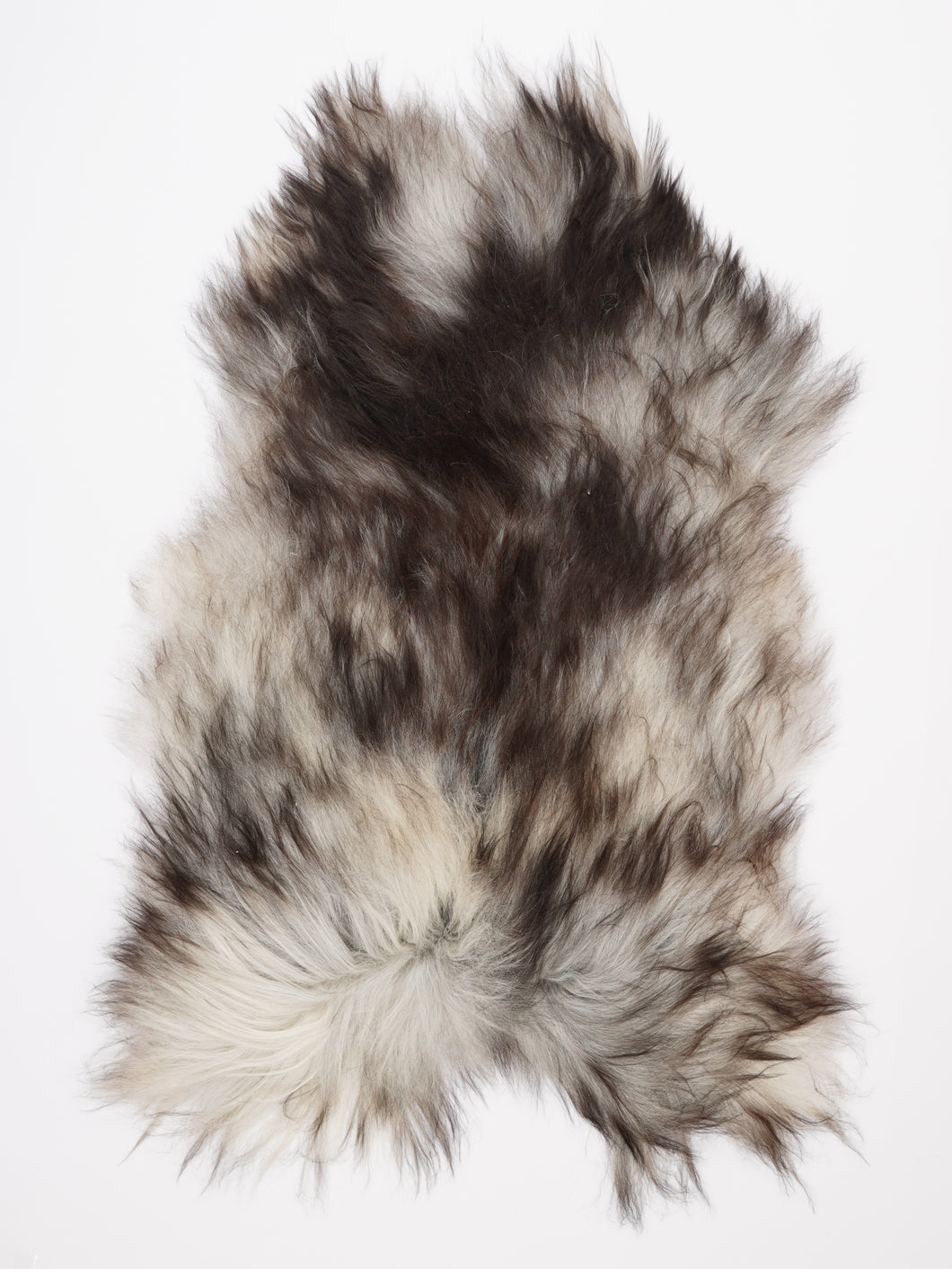 Pilkas islandiškas avikailis XXL