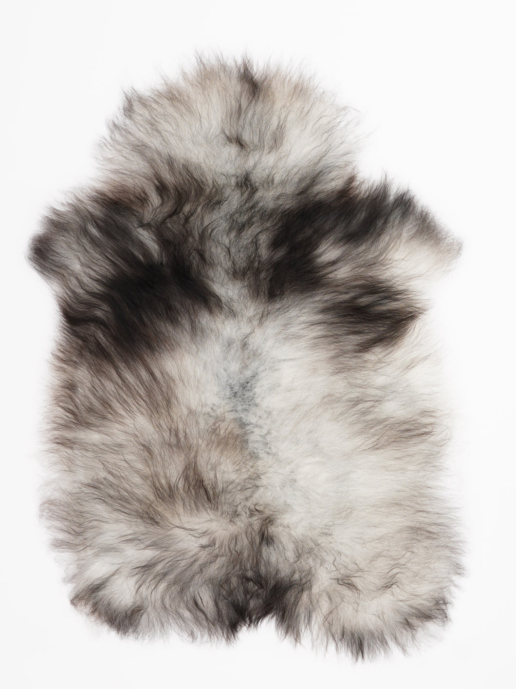 Pilkas islandiškas avikailis M