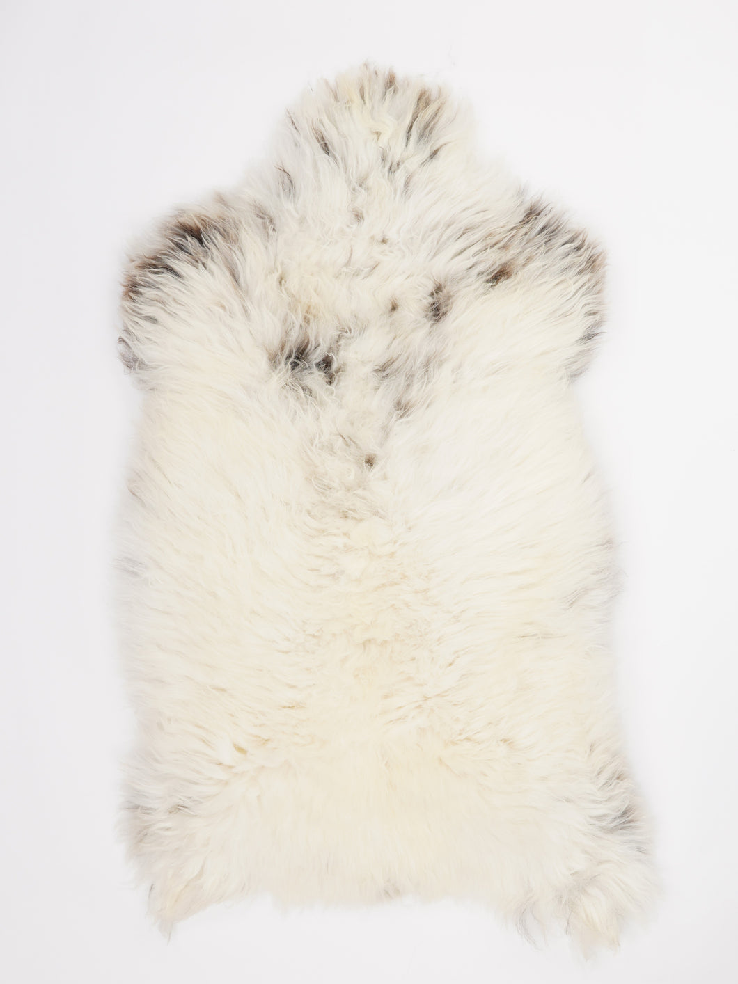 Įvairiaspalvis avikailis XL