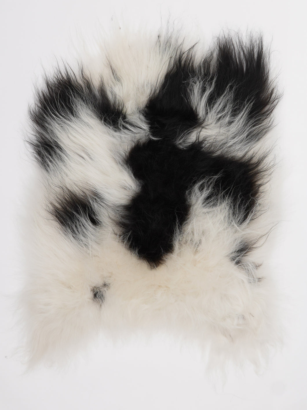 Islandiškas avikailis S