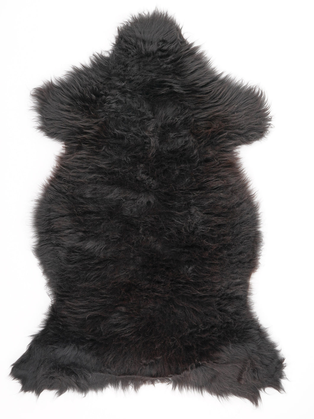 Įvairiaspalvis avikailis L