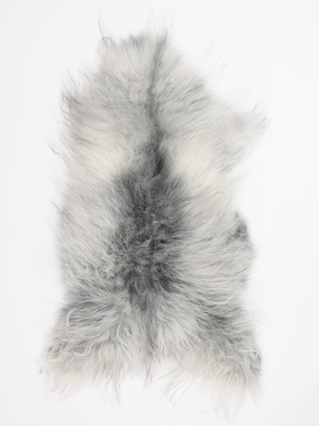 Pilkas islandiškas avikailis XL