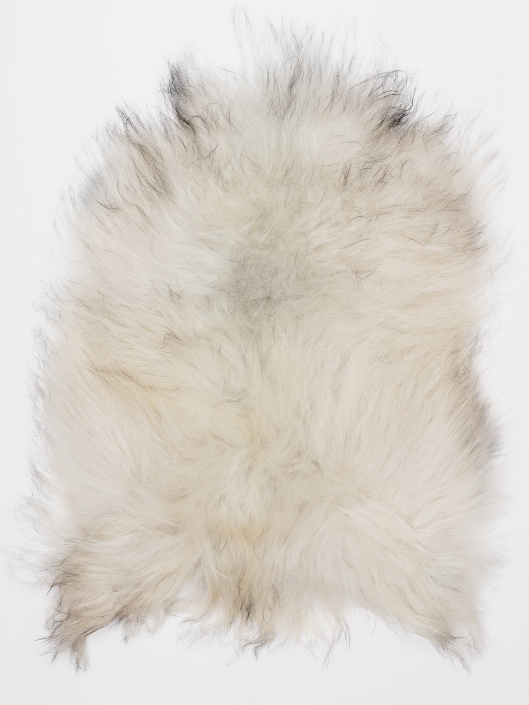 Islandiškas avikailis S