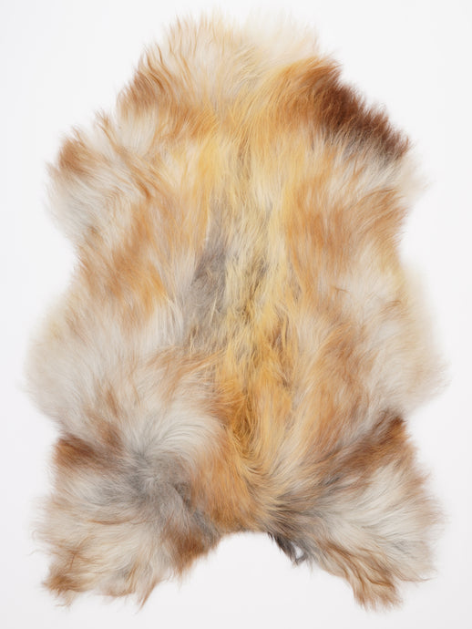 Islandiškas avikailis XXL