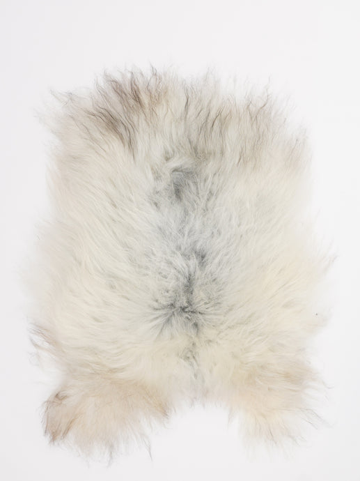 Islandiškas avikailis XS