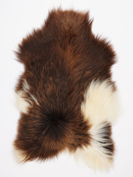 Islandiškas avikailis XXL