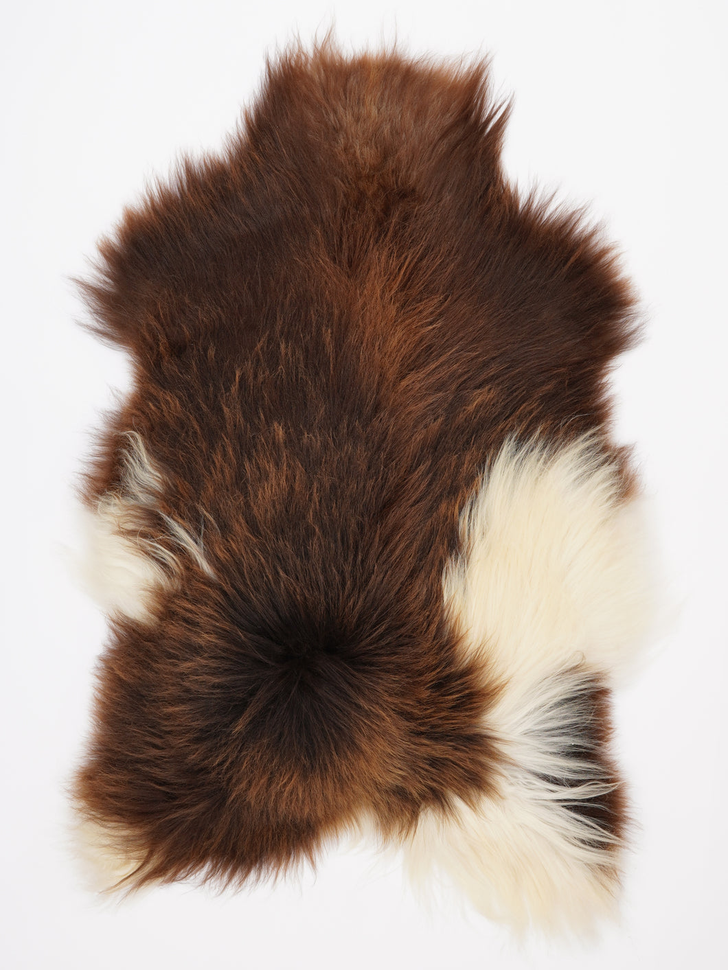 Islandiškas avikailis XXL