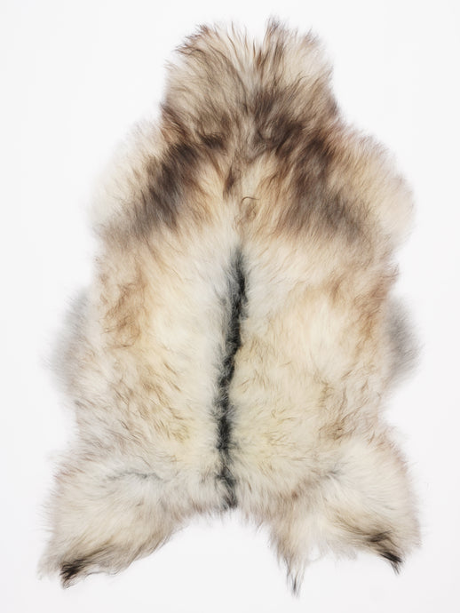 Islandiškas avikailis XL