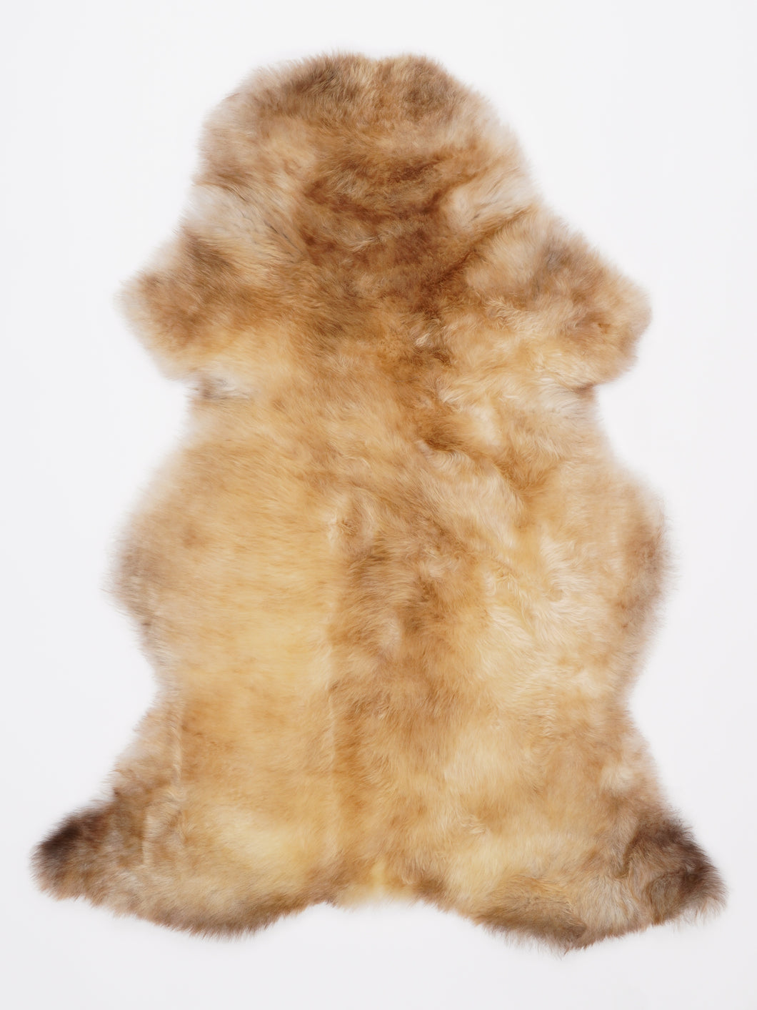 Įvairiaspalvis avikailis L