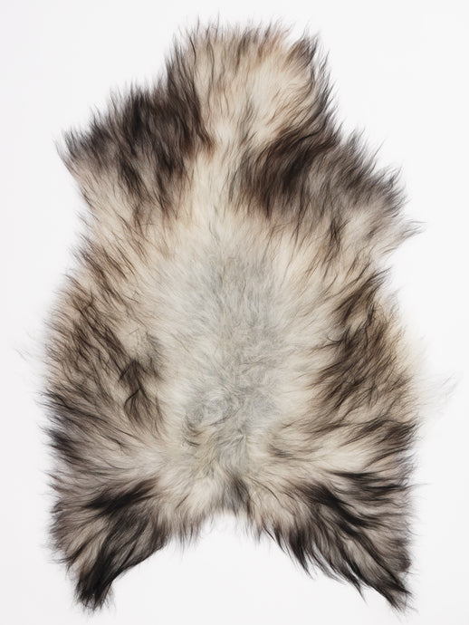 Pilkas islandiškas avikailis L