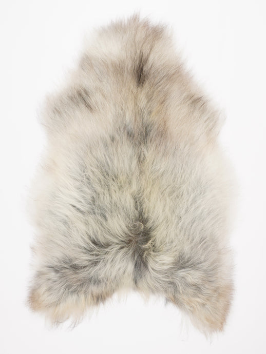 Islandiškas avikailis XL