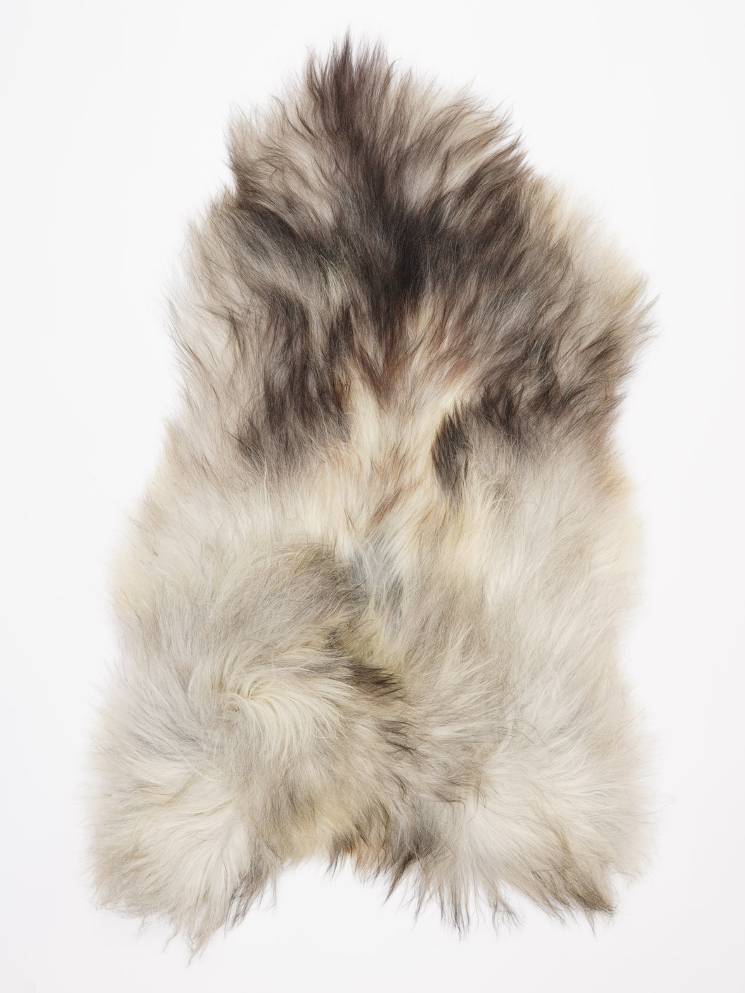 Pilkas islandiškas avikailis XXL