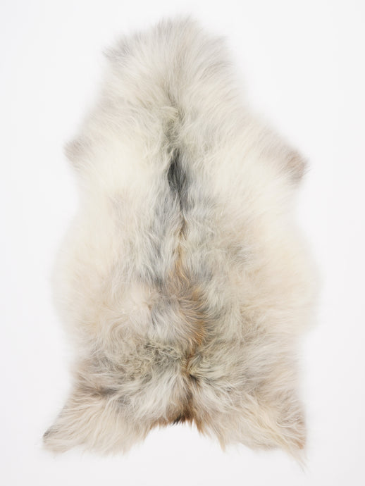 Islandiškas avikailis XL