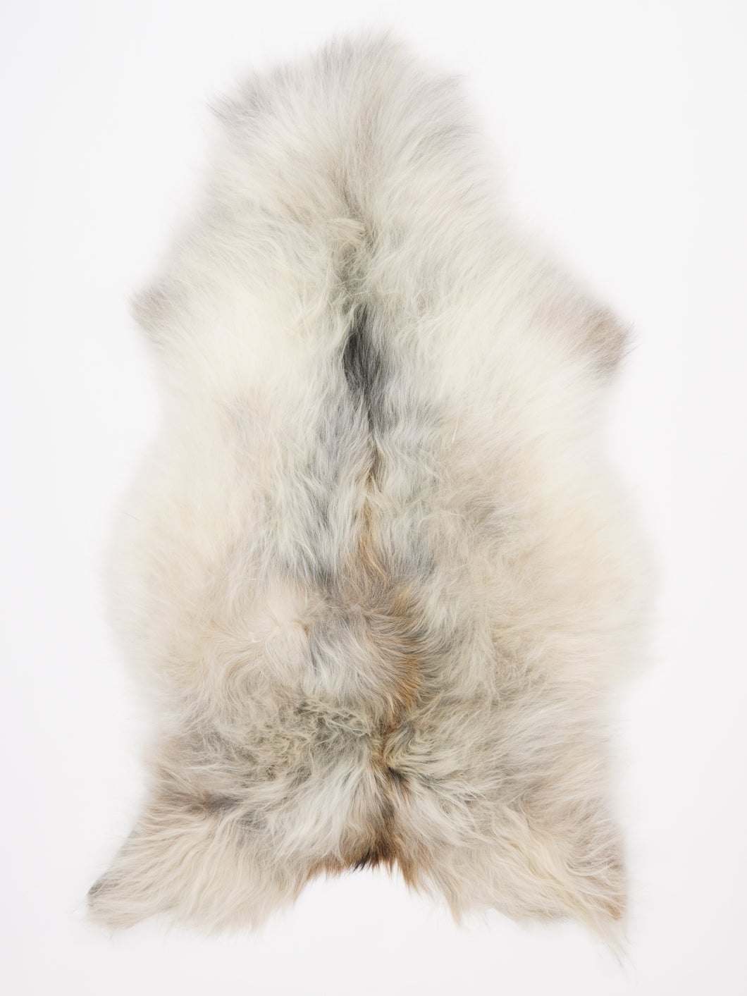 Islandiškas avikailis XL