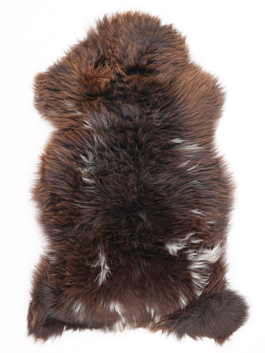 Įvairiaspalvis avikailis L