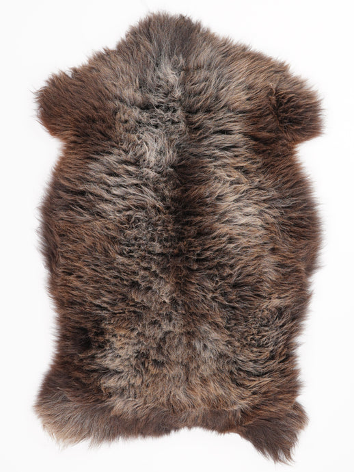 Įvairiaspalvis avikailis XL