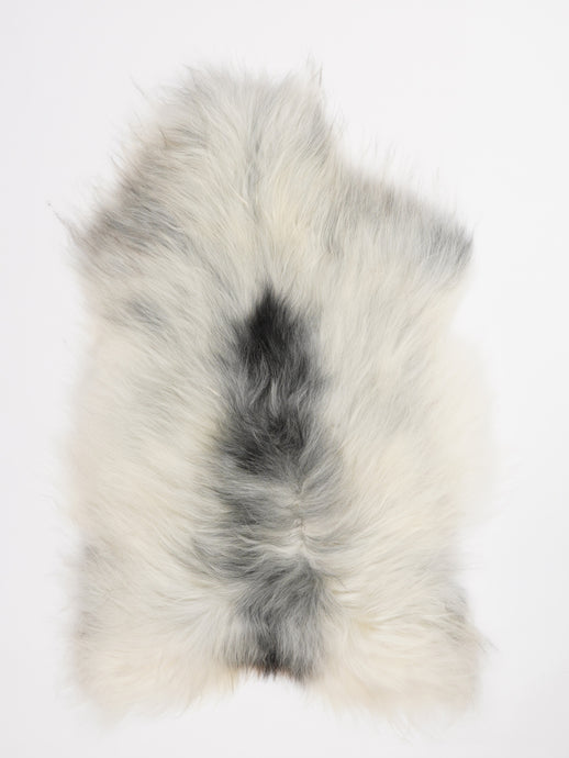 Islandiškas avikailis L