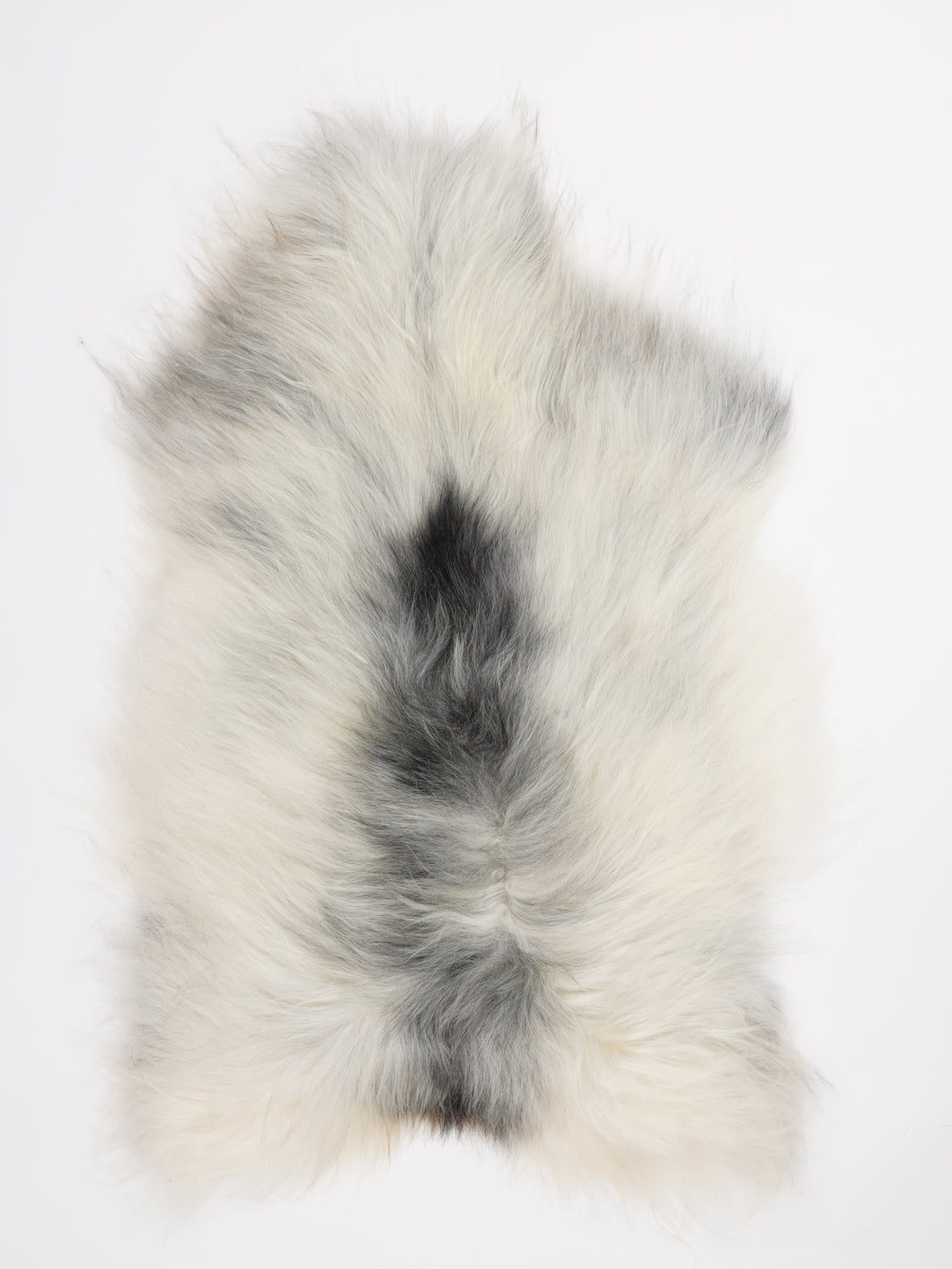 Islandiškas avikailis L