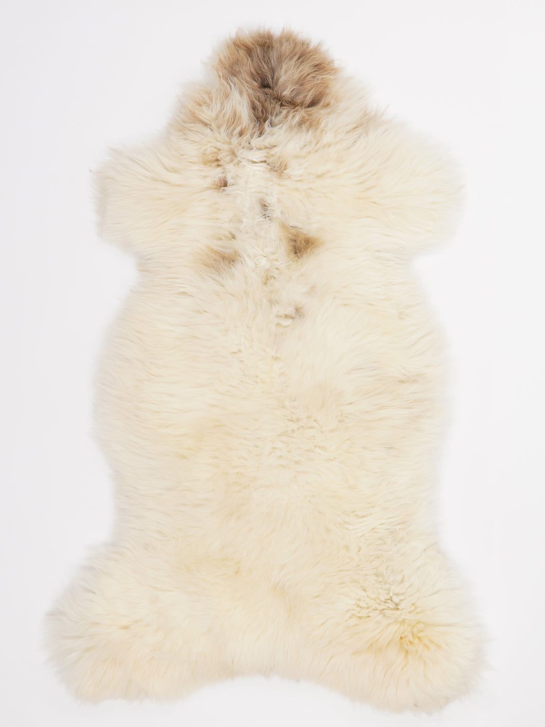 Įvairiaspalvis avikailis L