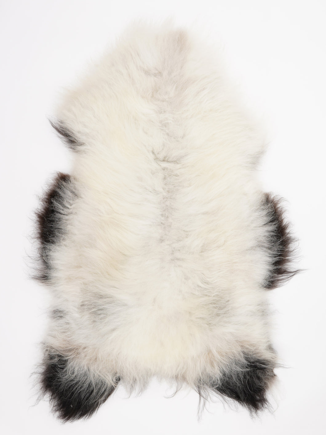 Islandiškas avikailis XXL