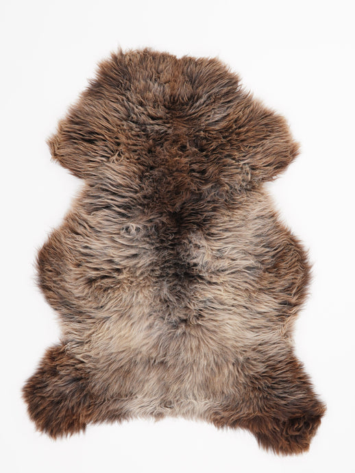 Įvairiaspalvis avikailis L