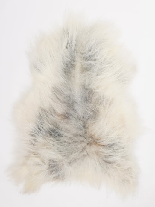 Islandiškas avikailis L