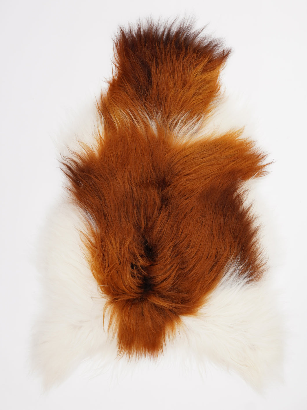 Islandiškas avikailis L