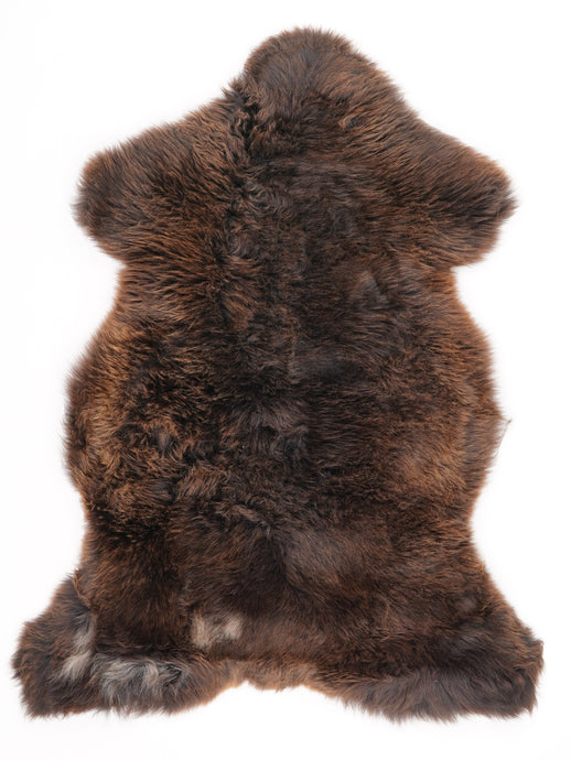 Įvairiaspalvis avikailis L