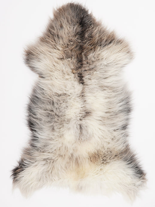 Įvairiaspalvis avikailis XL