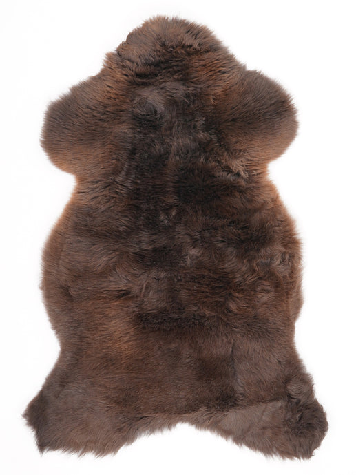 Įvairiaspalvis avikailis L