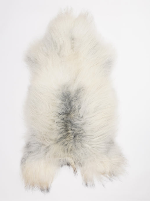 Islandiškas avikailis XL