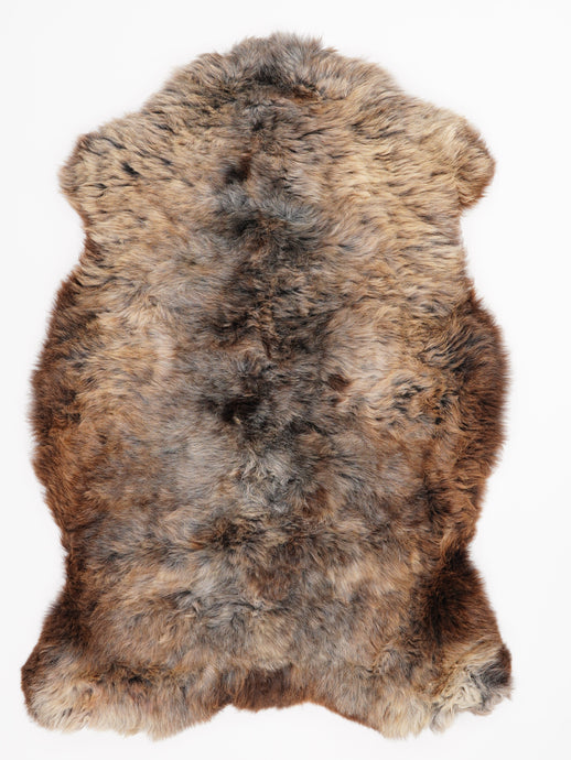 Įvairiaspalvis avikailis L