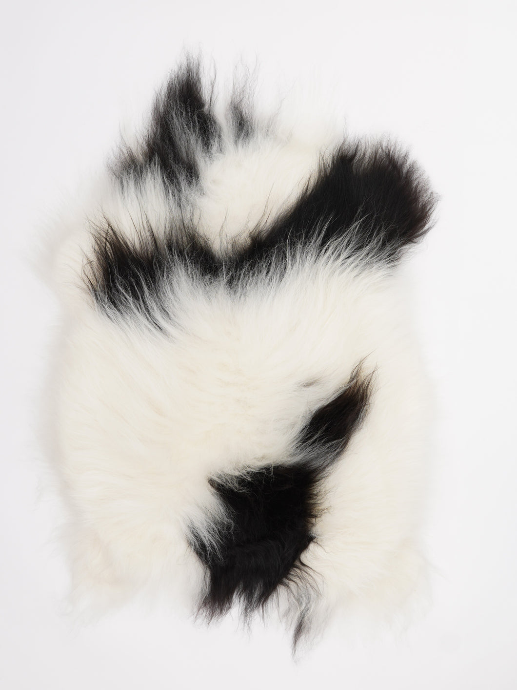 Islandiškas avikailis M