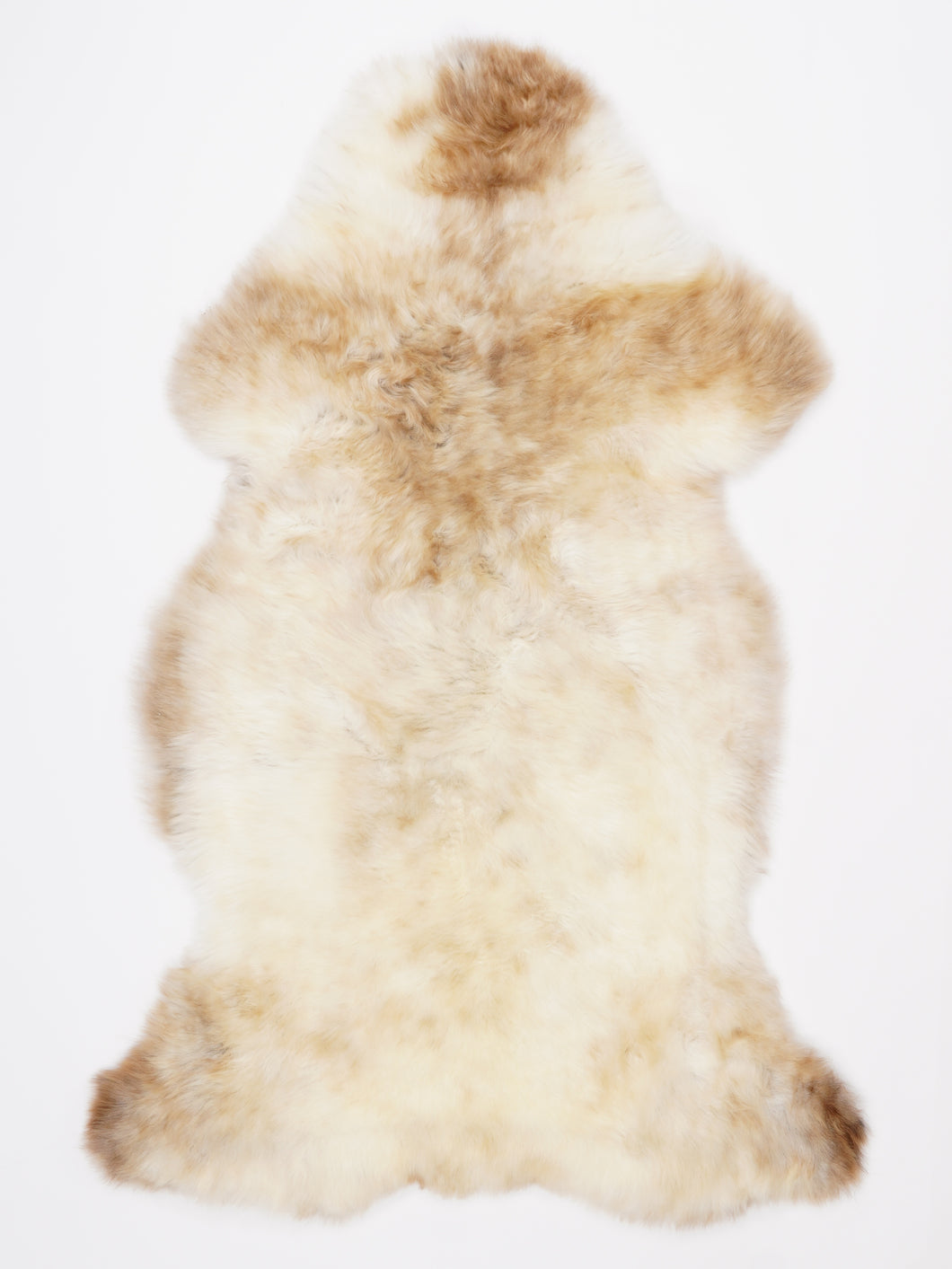 Įvairiaspalvis avikailis XL