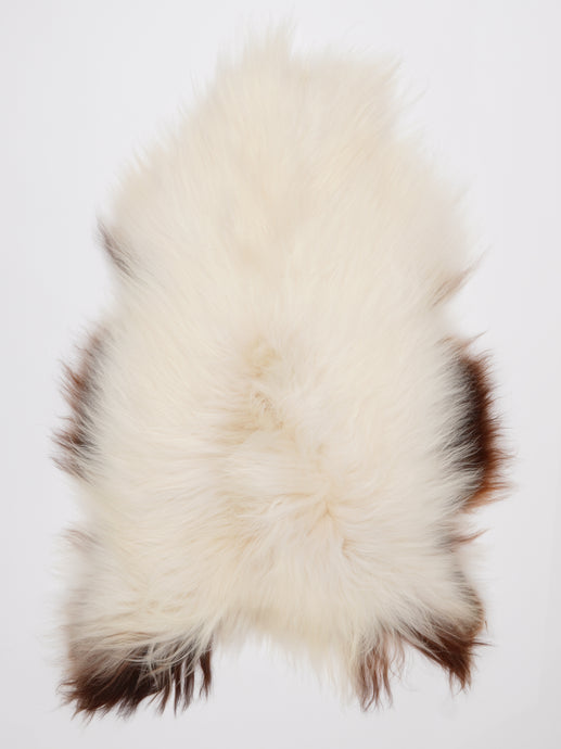 C klasės islandiškas avikailis L